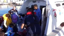 EGE DENIZI - Çanakkale'de 41 Düzensiz Göçmen Yakalandı