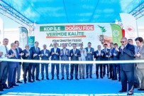SEBZE ÜRETİMİ - Konya'nın İlk 'Fide Üretim Tesisi' Meram'da Açıldı