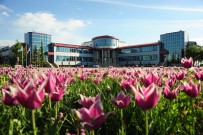 VAN YÜZÜNCÜ YıL ÜNIVERSITESI - Van YYÜ'nün Lisans Ve Ön Lisans Programlarına Büyük İlgi