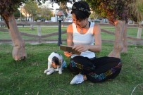 ÖTENAZI - Yazdığı Kitabın Gelirlerini Sokak Hayvanlarına Bağışlıyor
