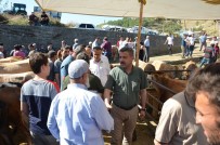 Başkan Çakıcı, Hayvan Pazarını Gezdi