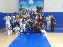 ÇAYıRHAN - Çayırhanlı Sporculardan Büyük Başarı