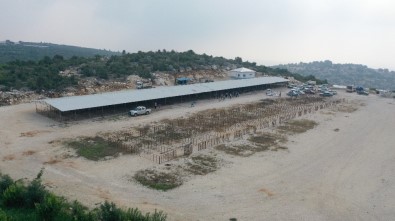 Erdemli'de Kurban Pazarları Bayrama Hazır