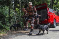 AĞAÇLı - Malezya'da Kayıp İrlandalı Kızın Ayak İzi Bulundu