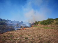 İLK MÜDAHALE - Mangal Yaparken Yangın Çıkardılar