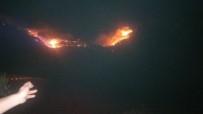 Mersin'de İki Günde Çıkan 8 Orman Yangınında Yaklaşık 40 Hektar Alan Zarar Gördü Haberi
