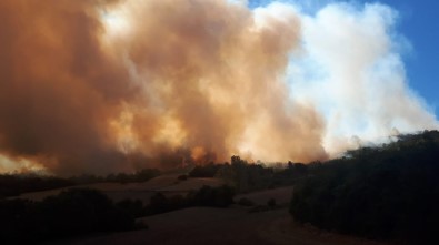 Orman Yangını Kısmen Kontrol Altına Alındı