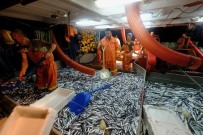 BALIK SEZONU - Balık Avı Sezonu Açıldı, Başkan Günel Balıkçılarla Birlikte ' Rastgele ' Dedi