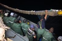 Karadenizli Balıkçılar 'Vira Bismillah' Dedi, Denizden İstavrit Çıktı