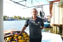SU ÜRÜNLERİ - Karasulu Balıkçılar Eli Boş Döndü