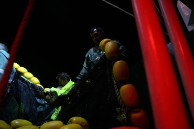 Marmara Denizi'nde Balıkçılar Umduğunu Bulamadı