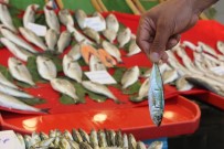 BALIKÇI ESNAFI - (Özel) Balık Tezgahlarında Fiyatlar Sezonun İlk Gününde Cep Yakıyor