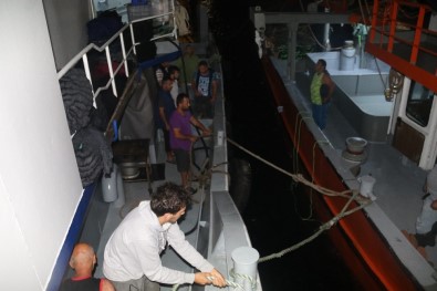 Rizeli Balıkçılar Umduğunu Bulamadı