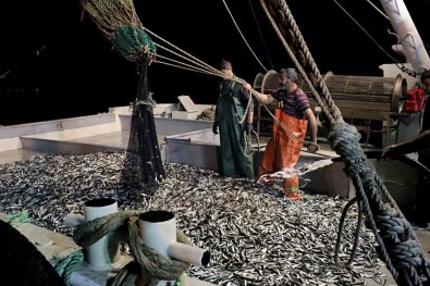 Samsunlu Balıkçılar Denizden 120 Kasa İstavritle Döndü