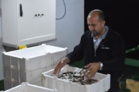 Sezonun İlk Avından Dönen Balıkçıları, İstanbul Valisi Ali Yerlikaya Karşıladı