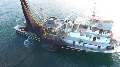 Sinoplu Balıkçılar İlk Gün Satışlardan Memnun