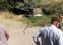 Traktörün Altında Kalan Sürücü Öldü