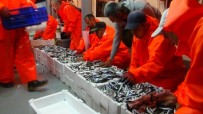 Yasak Sona Erdi Balıkçılar 'Vira Bismillah' Dedi