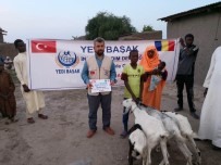 İNSANİ YARDIM - Yedi Başak İnsani Yardım Derneği'nden Afrika'da 'Süt Keçisi Projesi'