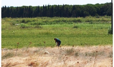 104 Yıldır Kayıp Olan Kumkale Şehitliği Bulundu