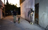 ADANA EMNİYET MÜDÜRLÜĞÜ - 500 Polisle Torbacılara Şafak Baskını