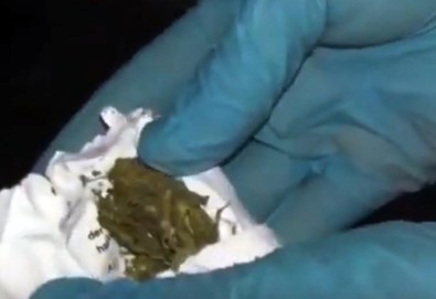 Bingöl'de Uyuşturucu Operasyonu Açıklaması 20 Tutuklama