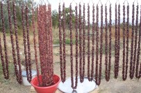 ZÜLFÜ DEMİRBAĞ - Elazığ, İsveç'e Rakip Oldu, 110 Metrelik 'Orcik' Yapacak