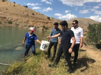 SU ÜRÜNLERİ - Erzincan'da Balıklandırma Çalışmaları Sürüyor