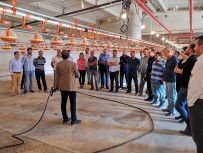 BOSTANCı - Kanatlı Hayvan İşletmecilerine Biyogüvenlik Eğitimi Verildi