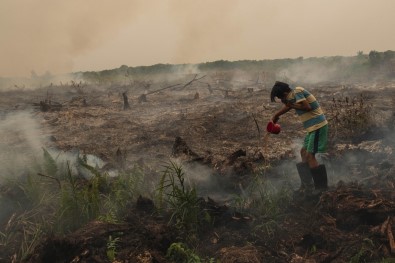 Malezya'da Hava Kirliliği Nedeniyle 400'Den Fazla Okul Kapatıldı