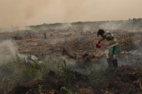 ORMAN YANGıNLARı - Malezya'da Hava Kirliliği Nedeniyle 400'Den Fazla Okul Kapatıldı