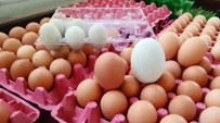 MAVİ YUMURTA - (Özel) 156 Gramlık Yumurta Şaşırtıyor