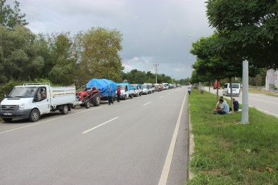 TMO Alım Noktasında Fındık Yoğunluğu