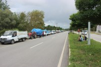 ŞEKER FABRİKASI - TMO Alım Noktasında Fındık Yoğunluğu