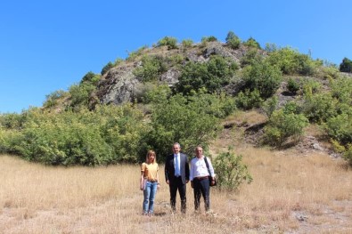 Tosya'da Gavurkayalıkları'na Kazı Talebi