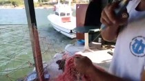 SU ÜRÜNLERİ - Barınağın Ağzı Kum Dolunca Balıkçılar Denize Açılamadı
