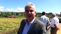 FATIH AKSOY - Boyabat'ta 2019 Yılı Çeltik Hasadı Başladı