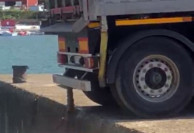 Denize Atık Boşaltan Kamyon Sürücüsü Hakkında İşlem Başlatıldı