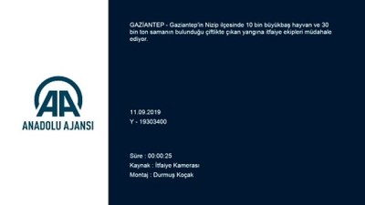 Gaziantep'te 10 Bin Büyükbaş Hayvanın Bulunduğu Çiftlikte Yangın