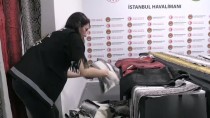 TİCARET BAKANLIĞI - İstanbul Havalimanı'nda Yılan Derisi Operasyonu