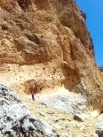 İBRAHIM YETKIN - Kayalıklarda Mahsur Kalan Keçileri AFAD Kurtardı
