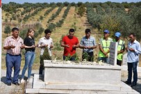 GENÇLİK MECLİSİ - Kurtuluş Savaşı Şehidinin Mezarına Sahip Çıktılar