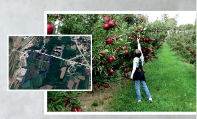 Mergiç Park Düzce'nin Akciğeri Olacak