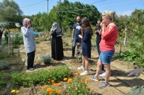 TIBBİ BİTKİLER - Tıbbi Çaylar Ve Kokular Atölyesi Yalovalılarla Buluştu