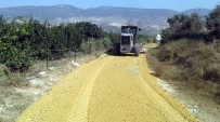 ESENLI - Akdeniz Belediyesi, Üreticiler İçin Yeni Tarım Yolları Açıyor