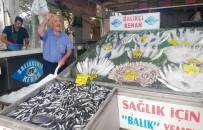 BALCı - Balıkçı Kenan Balcı Açıklaması 'Palamutun Az Olmasının Nedeni, Havaların Sıcak Olması'