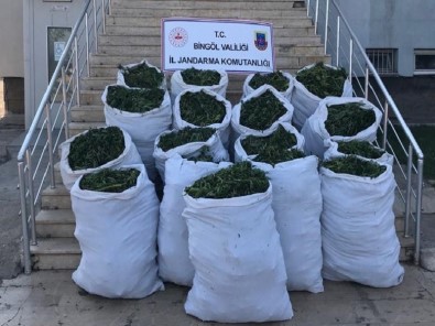 Bingöl'de 89 Kilo Esrar Ve 270 Bin Kök Kenevir Ele Geçirildi