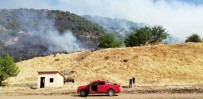 Bingöl'de Orman  Yangını Söndürüldü Haberi