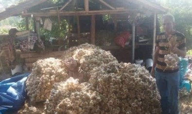 Kütahya'dan Osmanlı Saraylarına Giden Şifa Kaynağı