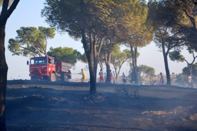 Orman Yangınlarıyla Mücadelede Yeni Dönem